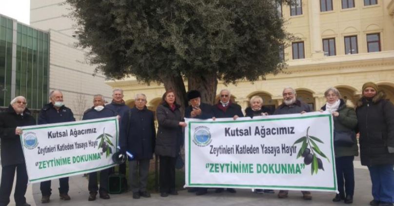 Konumuz Ölmez Ağaç Zeytin