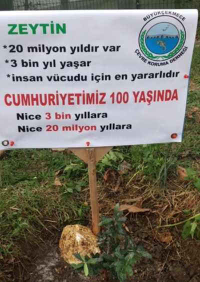 Vakıf Zeytinliklerinin Satışa Çıkdığı Görüldü