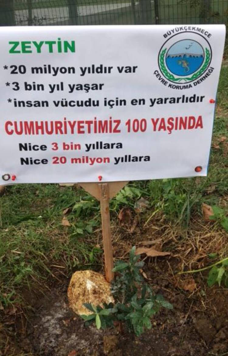 Dernek Bahçesine 5 yıl da 5. Cumhuriyet Zeytin Fidemiz